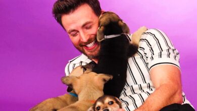 Entrevista al cachorro de Chris Evans: Míralo intentar y fallar al responder preguntas