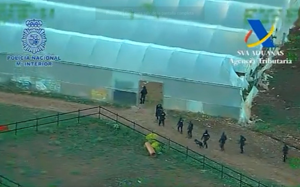 España desarticula organización criminal internacional vinculada con cárteles mexicanos | Video