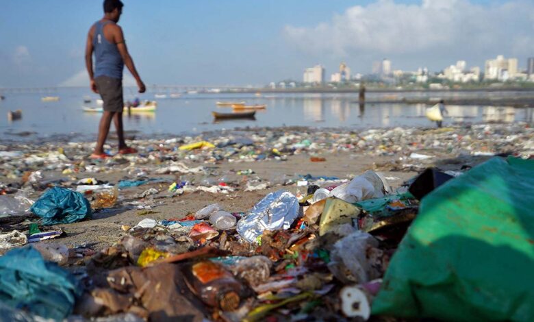 Esta es la que falta hasta el momento: Contaminación por plástico y la sobrepesca, los retos que urge atender para proteger los océanos del mundo: Oceana | Video