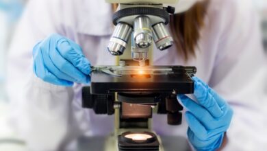 Florence Healthcare, una plataforma de flujo de trabajo para investigadores clínicos, recauda $ 27 millones liderada por Insight Partners