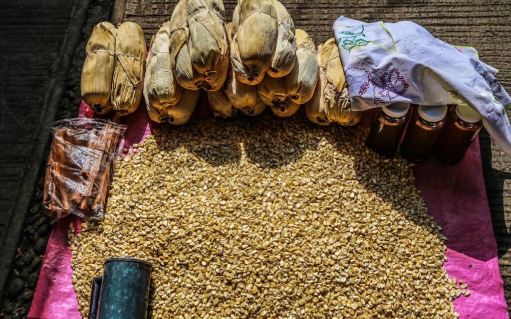 Gobierno de México busca aumentar exportaciones agroalimentarias a África