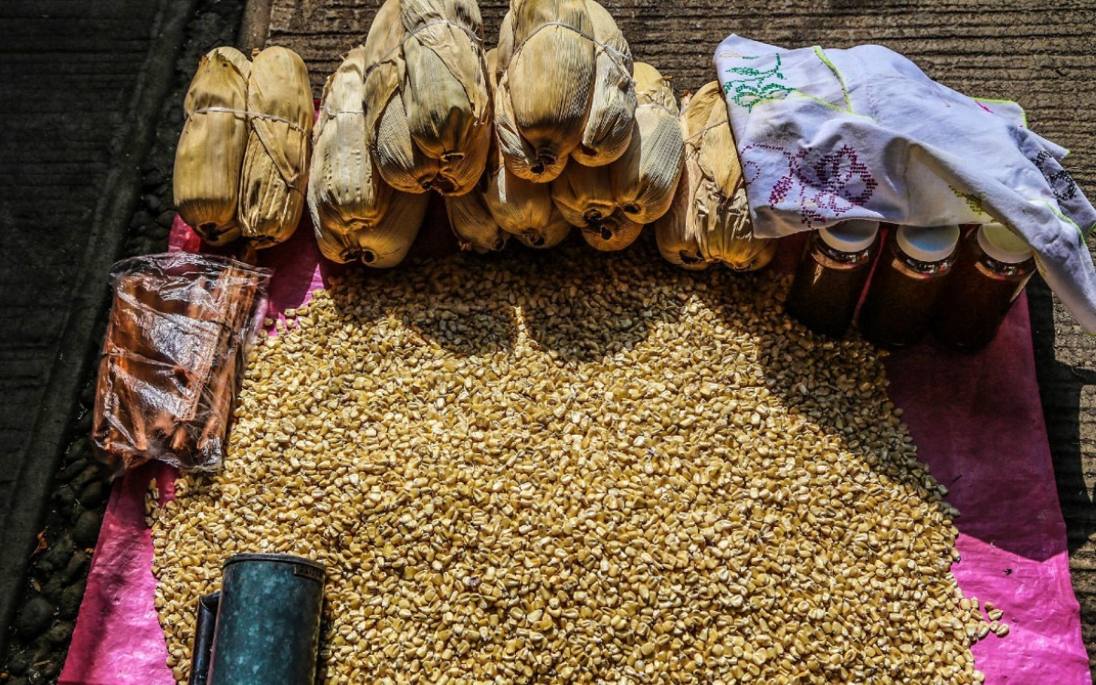 Gobierno de México busca aumentar exportaciones agroalimentarias a África