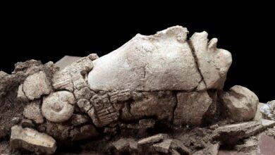 Hallada una cabeza del dios del maíz maya que permaneció oculta más de 1.300 años en Chiapas