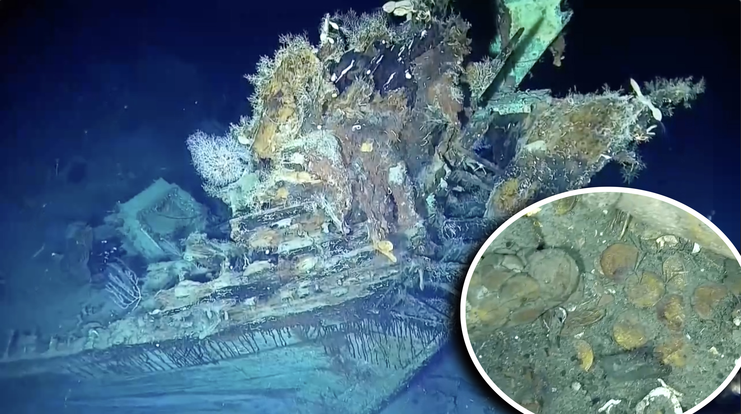 Hallan naufragios con tesoros cerca de galeón español en la costa de Colombia