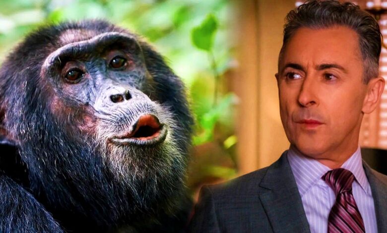 La coprotagonista de Alan Cumming, Tonka, la chimpancé, fue encontrada viva después de una larga búsqueda