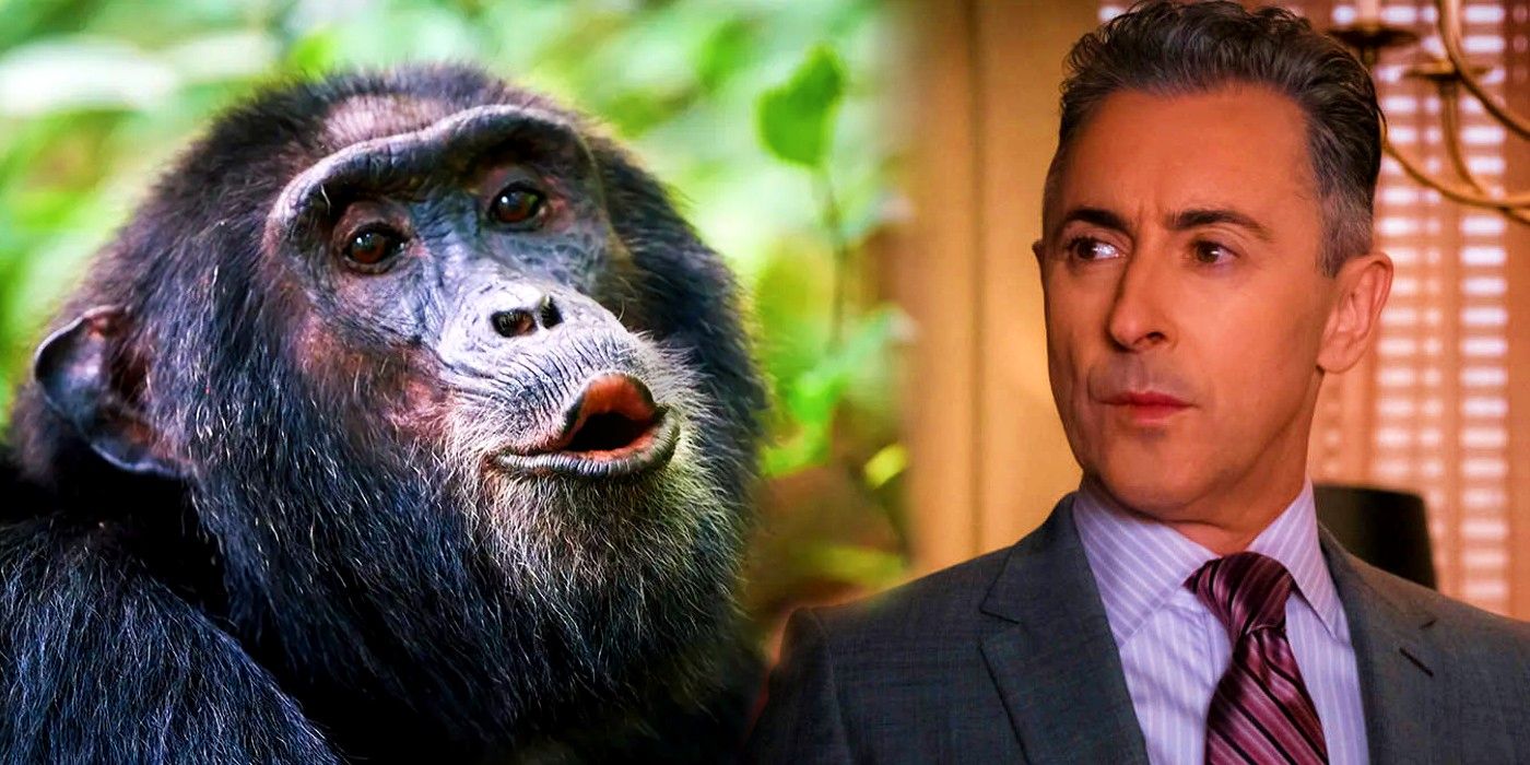 La coprotagonista de Alan Cumming, Tonka, la chimpancé, fue encontrada viva después de una larga búsqueda