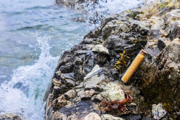 La startup de reciclaje de plástico Novoloop recauda $ 10M Serie A extensión para acelerar la comercialización