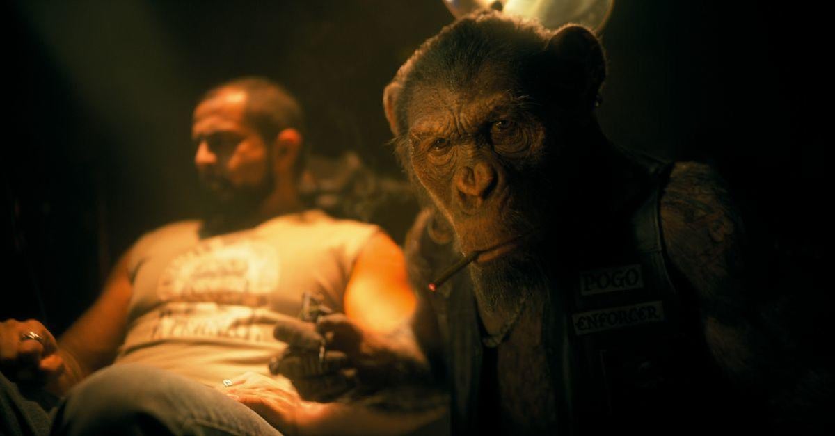 La temporada 3 de Umbrella Academy presenta un código QR secreto, esto es lo que revela