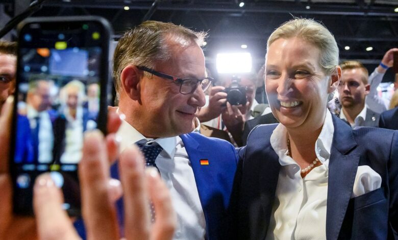 La ultraderecha en Alemania promete unidad y renovación en su congreso, pero elige al mismo líder
