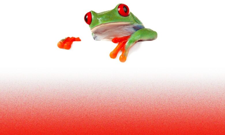 Las ranas calentitas o el fin de la democracia
