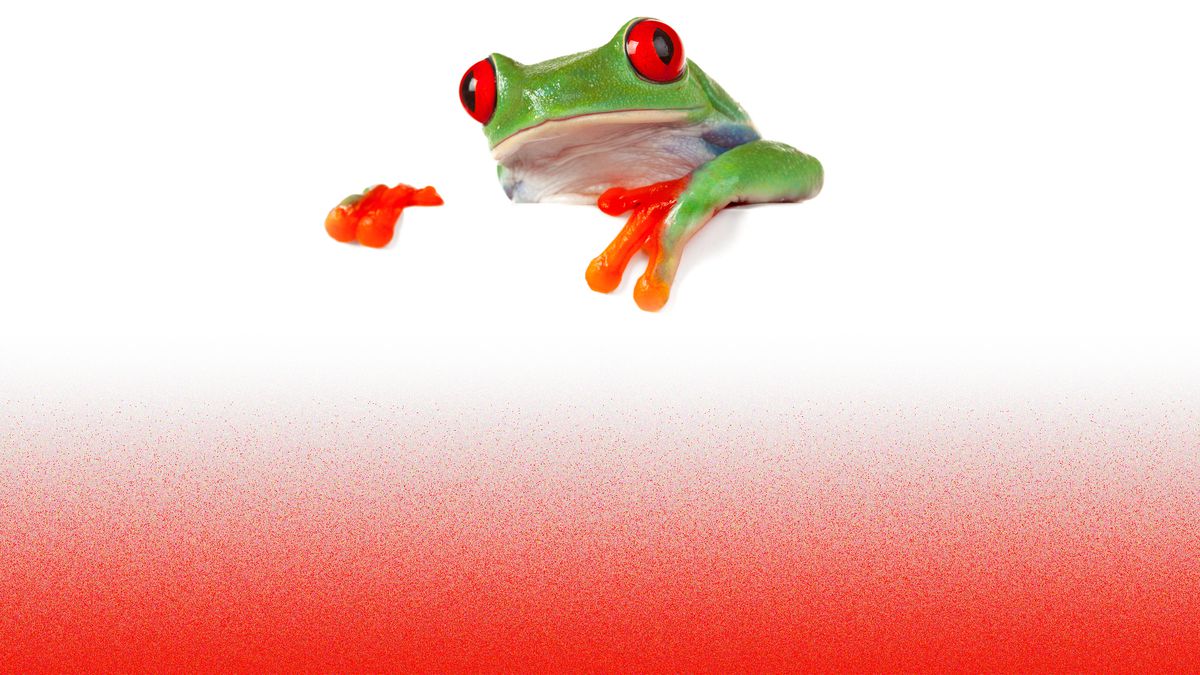 Las ranas calentitas o el fin de la democracia