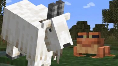 Las ranas de actualización salvaje de Minecraft inicialmente comían cabras enteras