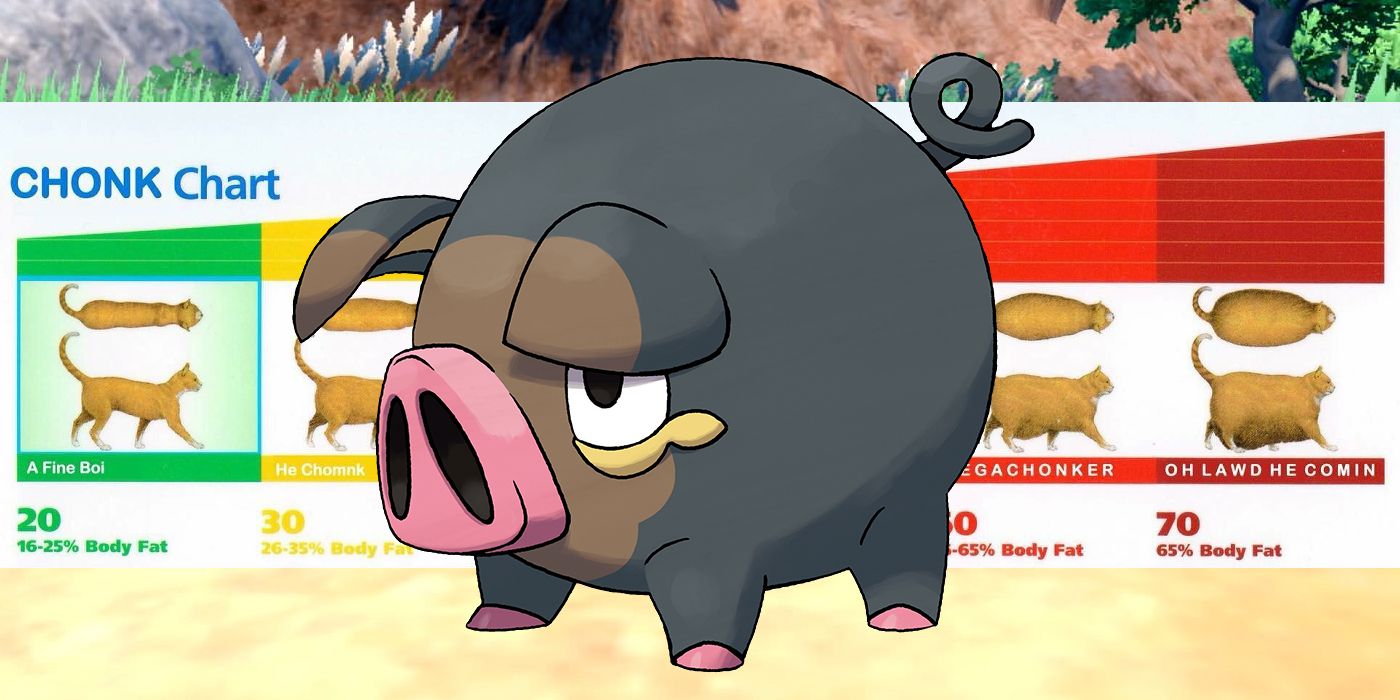 Lechonk es el Pokémon de Escarlata y Púrpura que más corazones ha robado