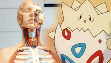 Los Pokémon anatómicamente correctos diseñados por el artista son puro combustible de pesadilla