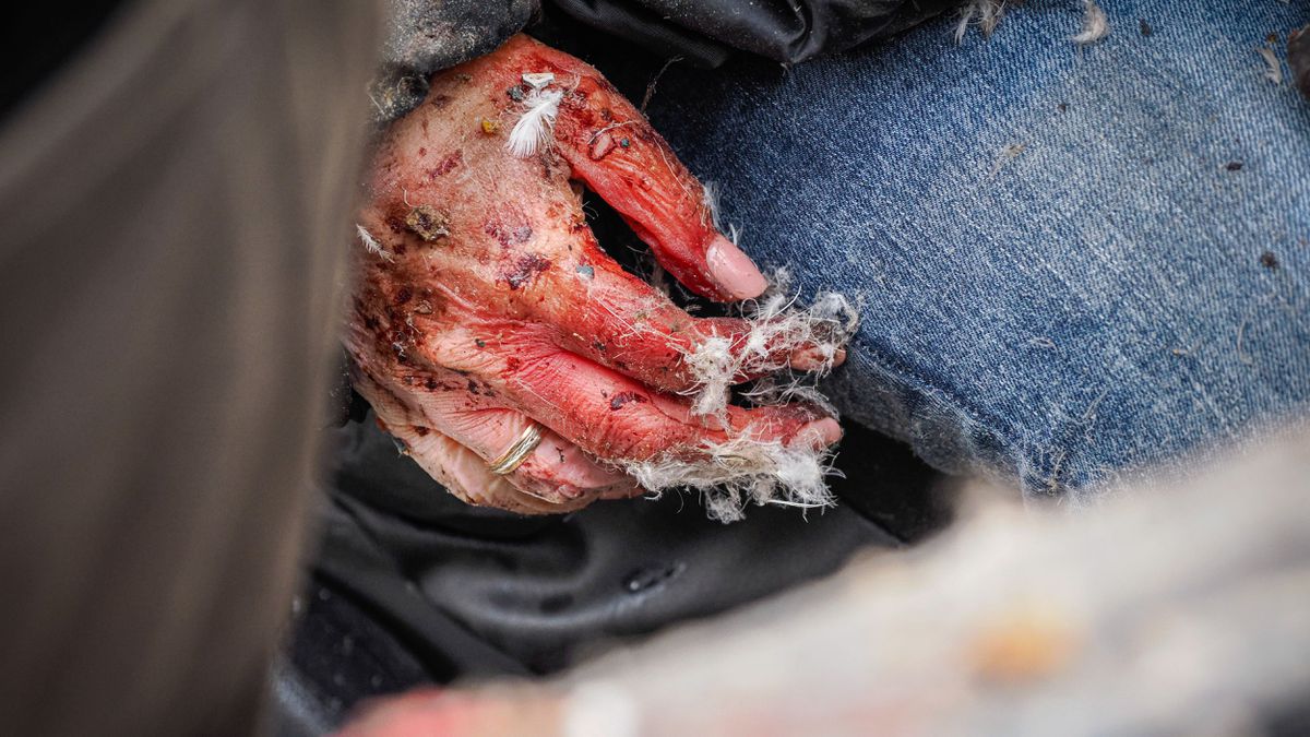 Los sótanos del horror: las violaciones en grupo como arma de guerra en Ucrania