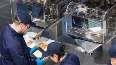 Magical Mushroom Company del Reino Unido utiliza micelio para reemplazar los envases de plástico