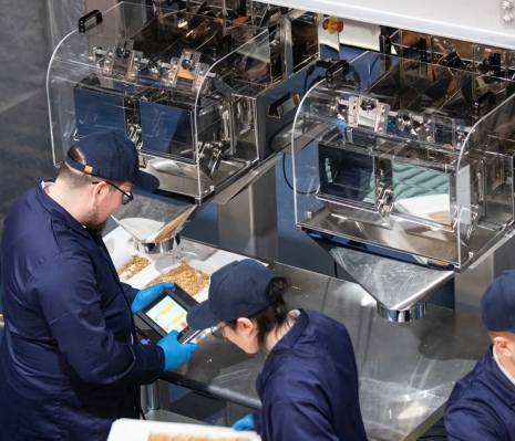 Magical Mushroom Company del Reino Unido utiliza micelio para reemplazar los envases de plástico