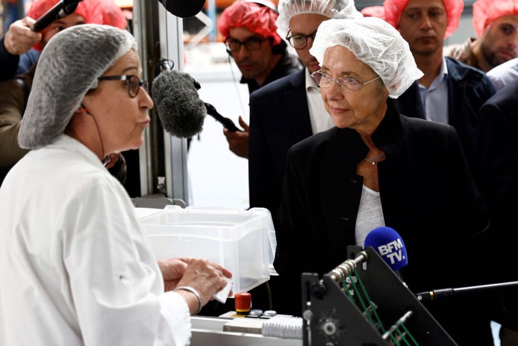 Medio gabinete de Macron se juega el puesto en las elecciones legislativas en Francia del domingo