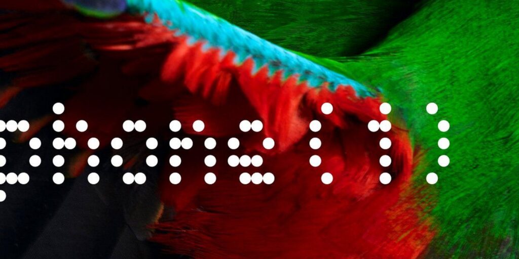 Nothing lanzará su primer teléfono el 12 de julio: esto es lo que sabemos