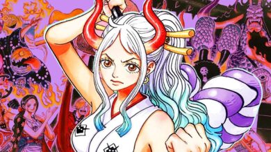One Piece finalmente resolvió la gran controversia de Yamato para siempre