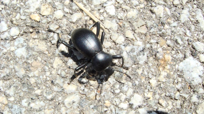 OpenReplay recauda $ 4.7M para su herramienta de código abierto para encontrar los errores en los sitios