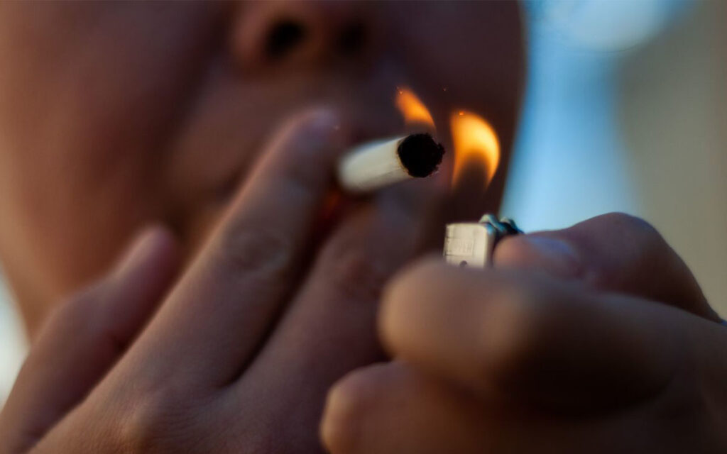 Para fabricar 300 cigarrillos (15 cajetillas) se necesita casi un árbol entero