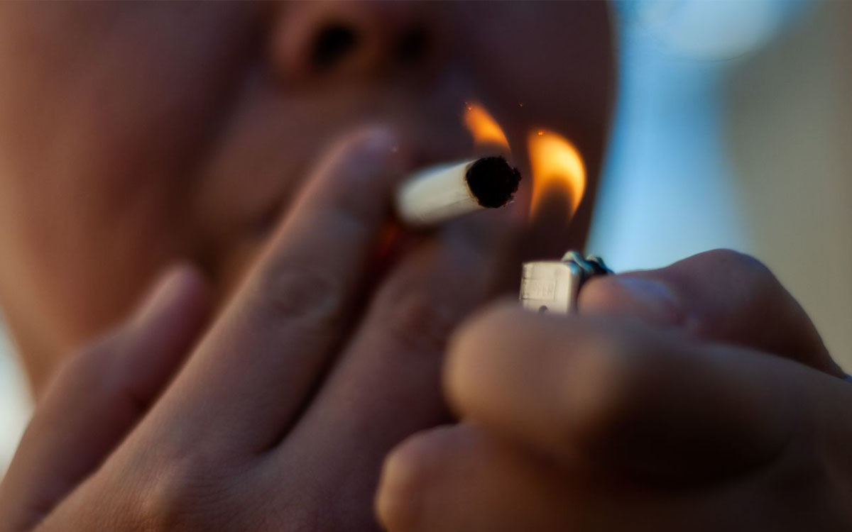 Para fabricar 300 cigarrillos (15 cajetillas) se necesita casi un árbol entero