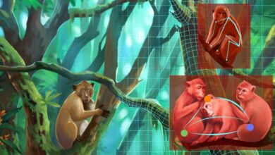 Perceptrón: teleoperación arriesgada, simulación de Rocket League y multiplicación de zoólogos