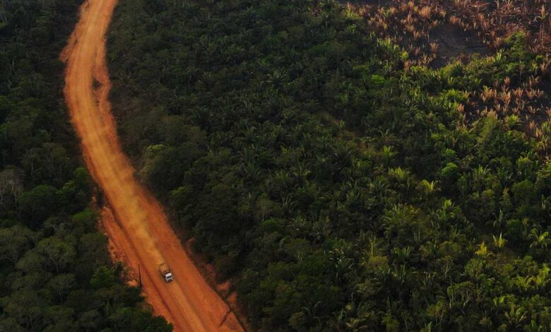 Periodista e investigador desaparecen en la zona más inhóspita de la Amazonia