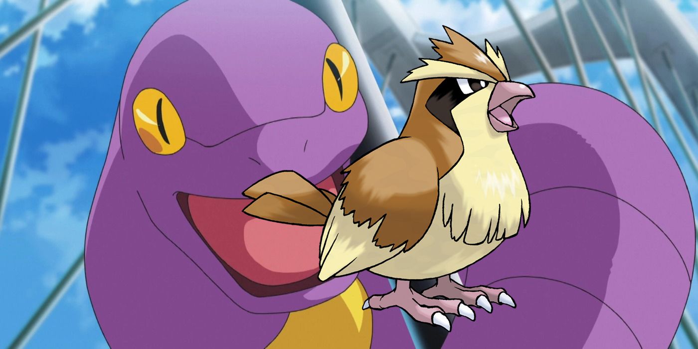 Pokémon: por qué Ekans y Pidgey NUNCA deberían estar en el mismo equipo