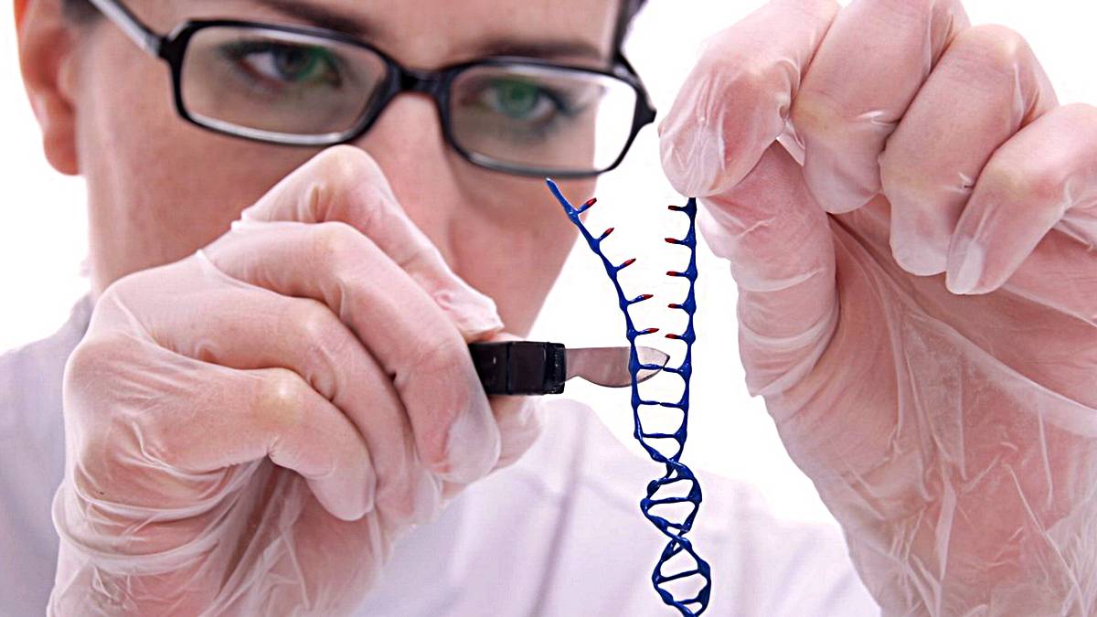 Qué es una enfermedad genética