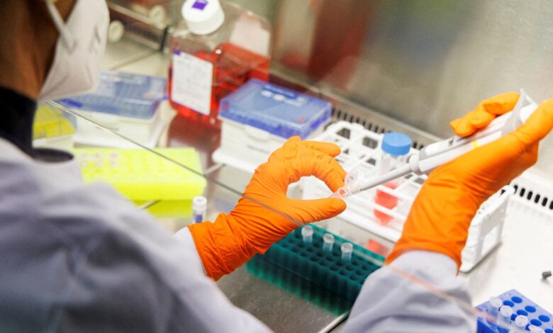 Se estanca desarrollo de nuevos antibióticos; en 5 años solo se han aprobado 12, alerta OMS