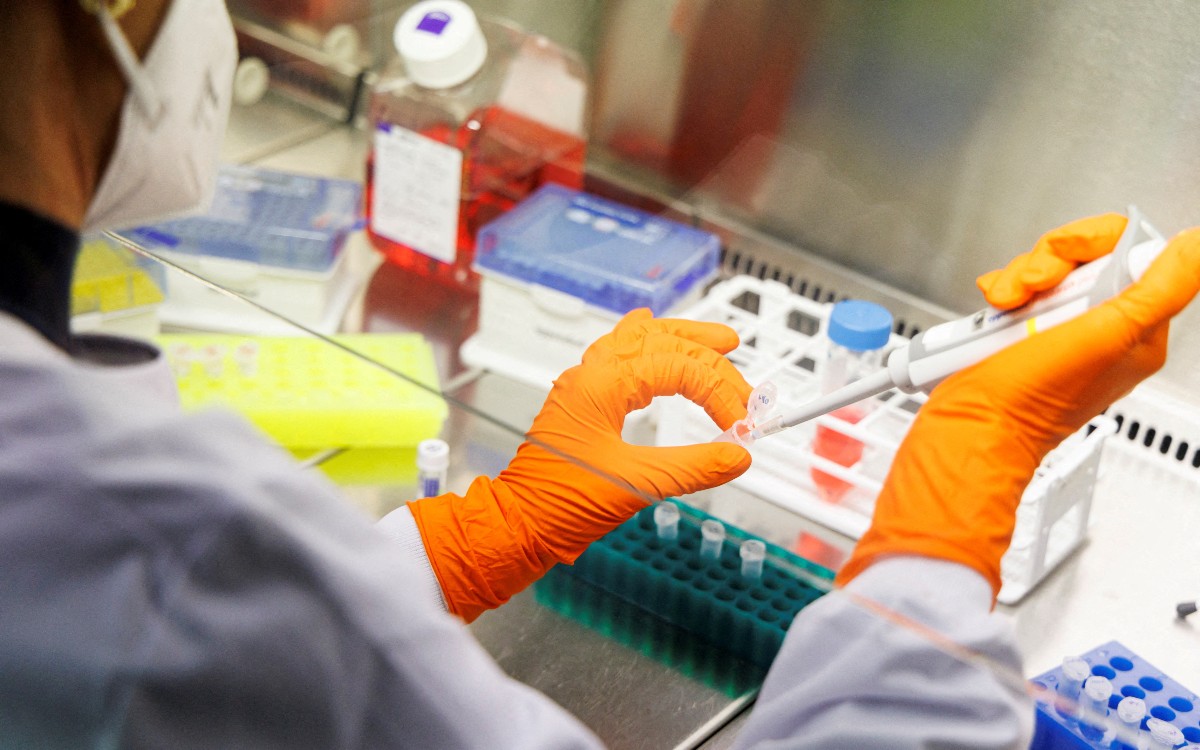 Se estanca desarrollo de nuevos antibióticos; en 5 años solo se han aprobado 12, alerta OMS