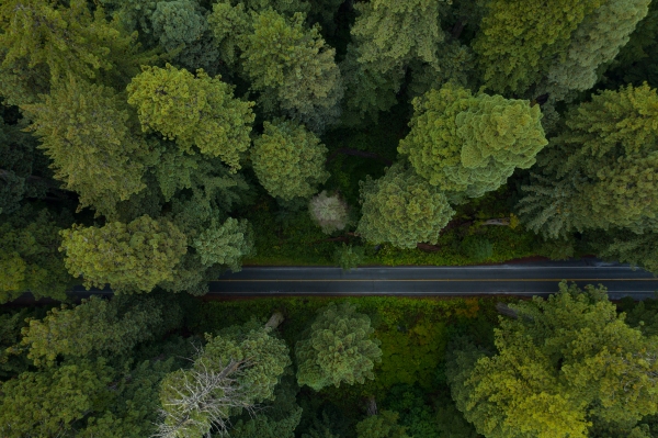 Sequoia India y el sudeste asiático amplían el rango de verificación para el programa Surge en etapa inicial