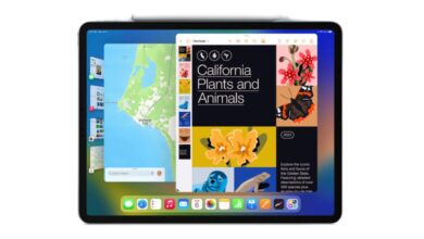 Stage Manager ofrece compatibilidad con múltiples ventanas y pantallas externas para iPad