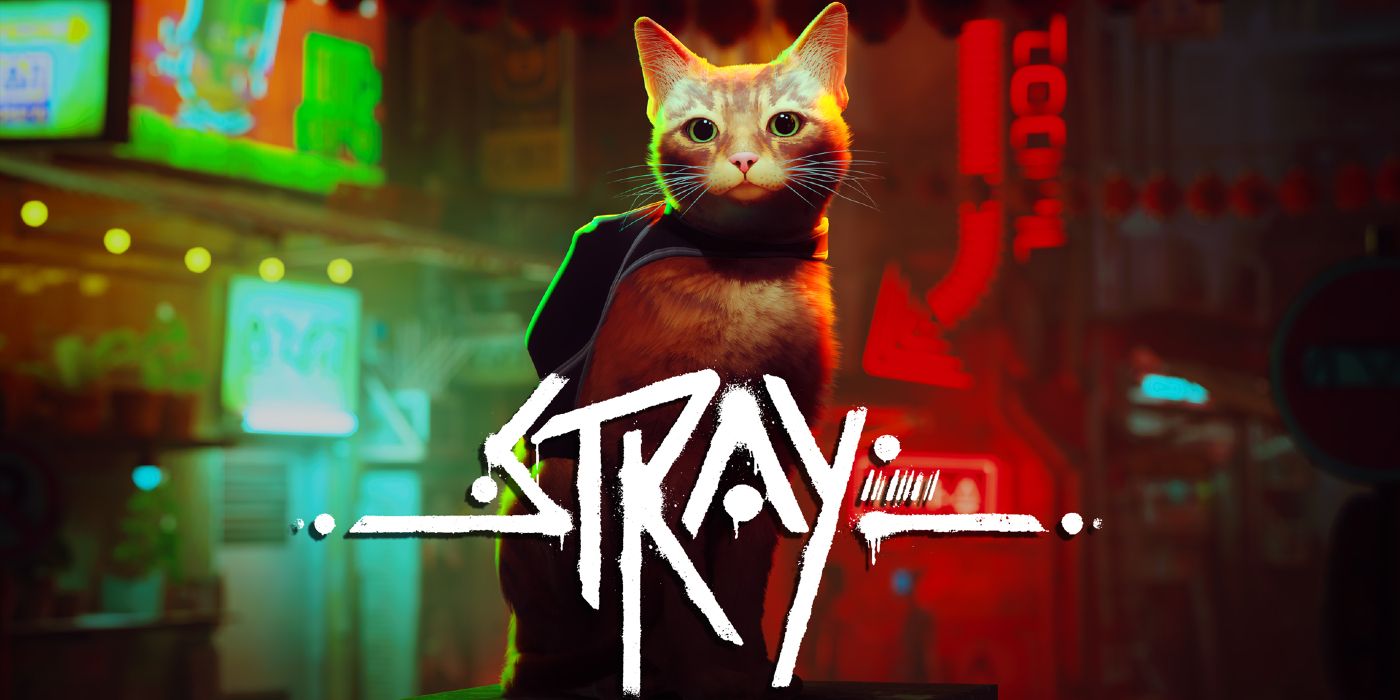 Swann Martin-Raget Interview: Stray