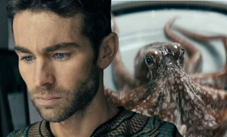 Timothy the Octopus de The Boys obtiene su propio In Memoriam en un nuevo video