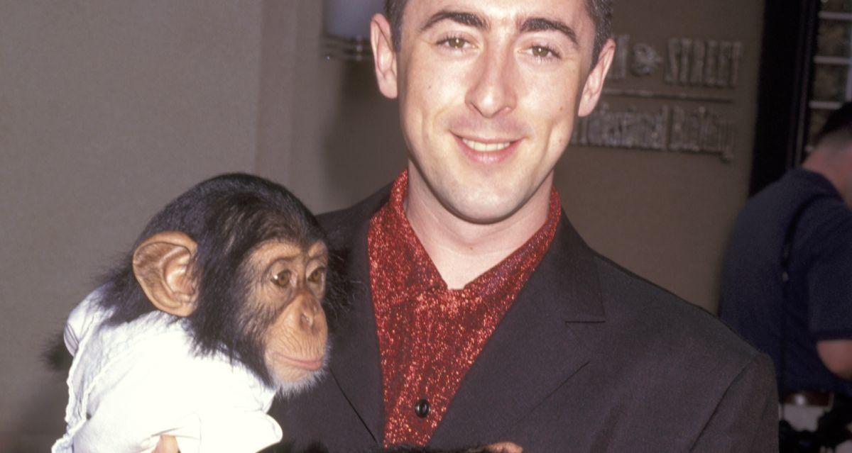 Tonka, la coprotagonista chimpancé de Alan Cumming, fue encontrada viva, el propietario fingió su muerte