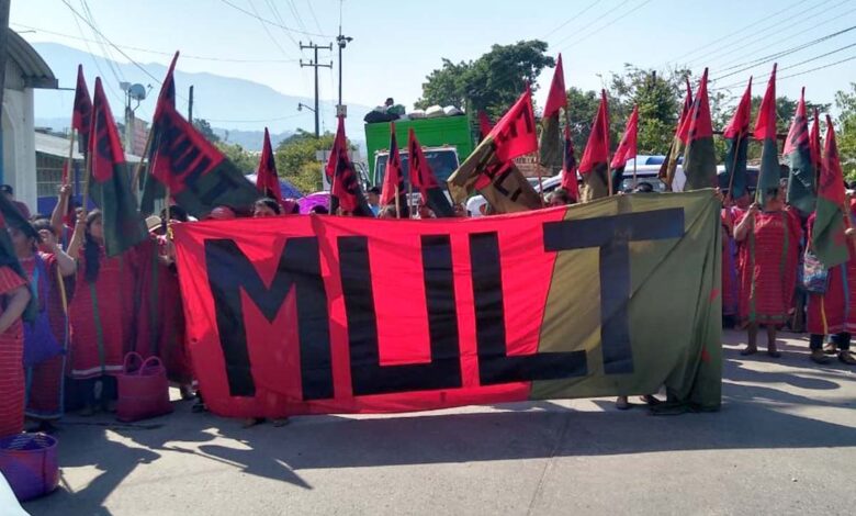 Triquis denuncian ataque armado contra un adulto y tres niños, integrantes del MULT