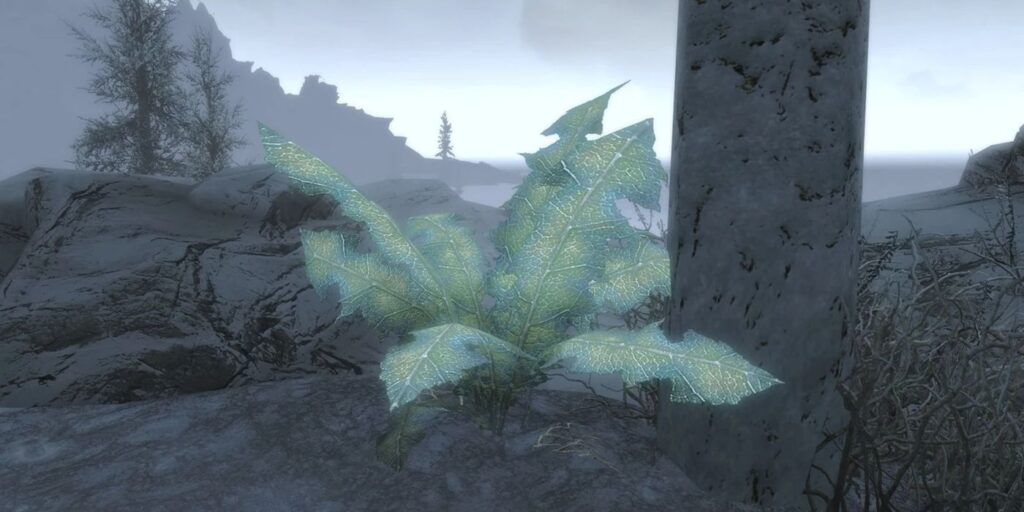 Un detalle oculto de Fallout muestra que Skyrim podría existir en el mismo universo