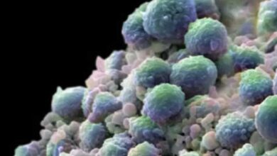 Uno de cada seis mexicanos, con riesgo de padecer cáncer de próstata: Incan