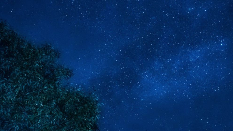 cómo y dónde ver la lluvia de estrellas