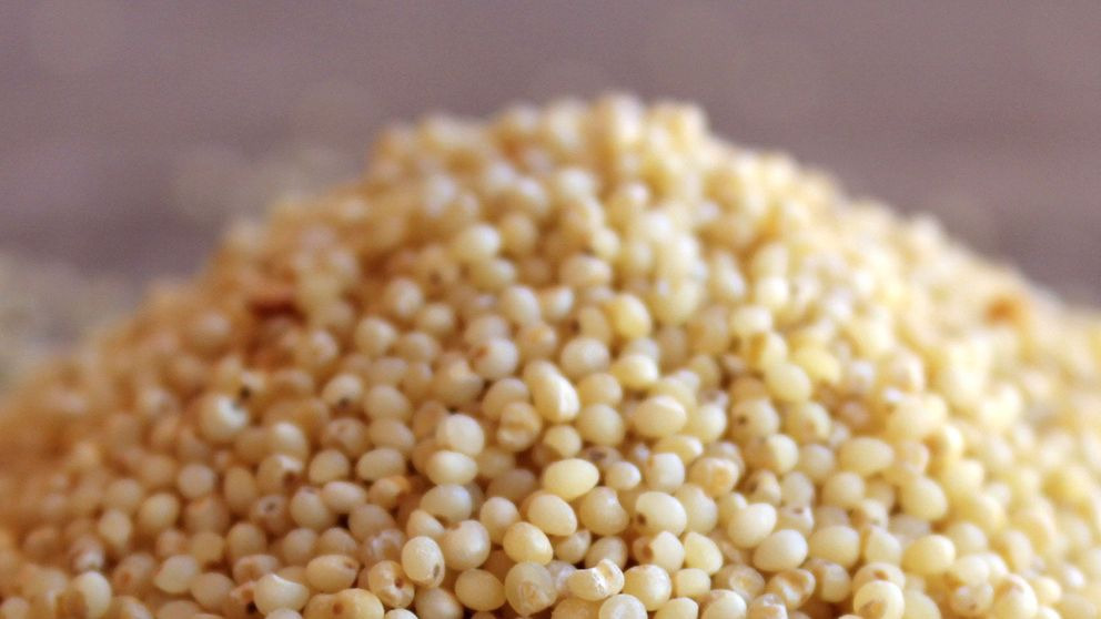 ¿Cuáles son las propiedades del mijo?