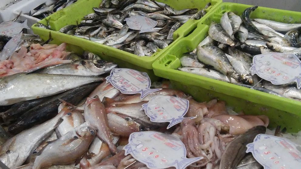 ¿Cuáles son los pescados con más mercurio?