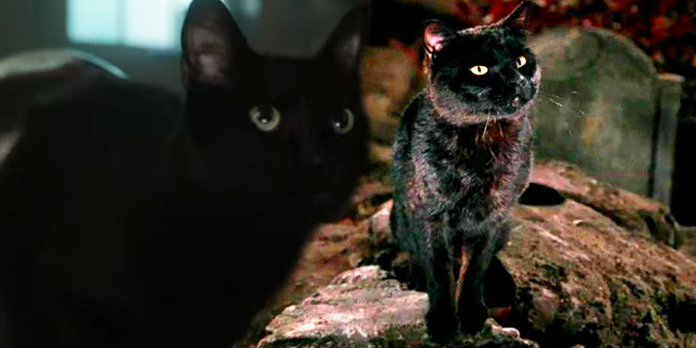 ¿Es ese Thackery Binx en Hocus Pocus 2?