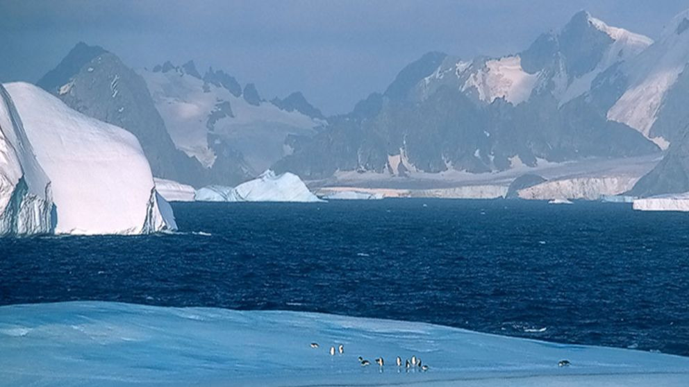 ¿Por qué el Polo Sur es más frío que el Polo Norte?