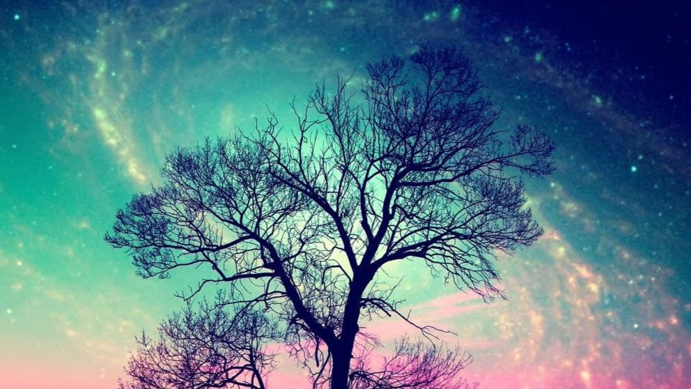 ¿Por qué se nos olvidan los sueños?