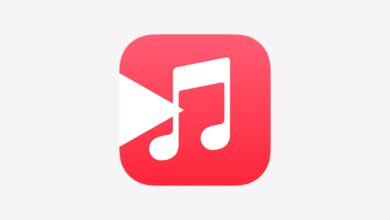 ¿Puedes hacer un gráfico circular de Apple Music?  Lo que necesitas saber