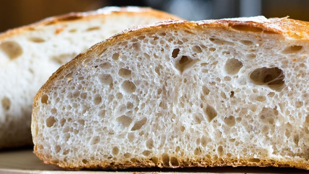 ¿Qué es la masa madre y cuáles son sus propiedades?