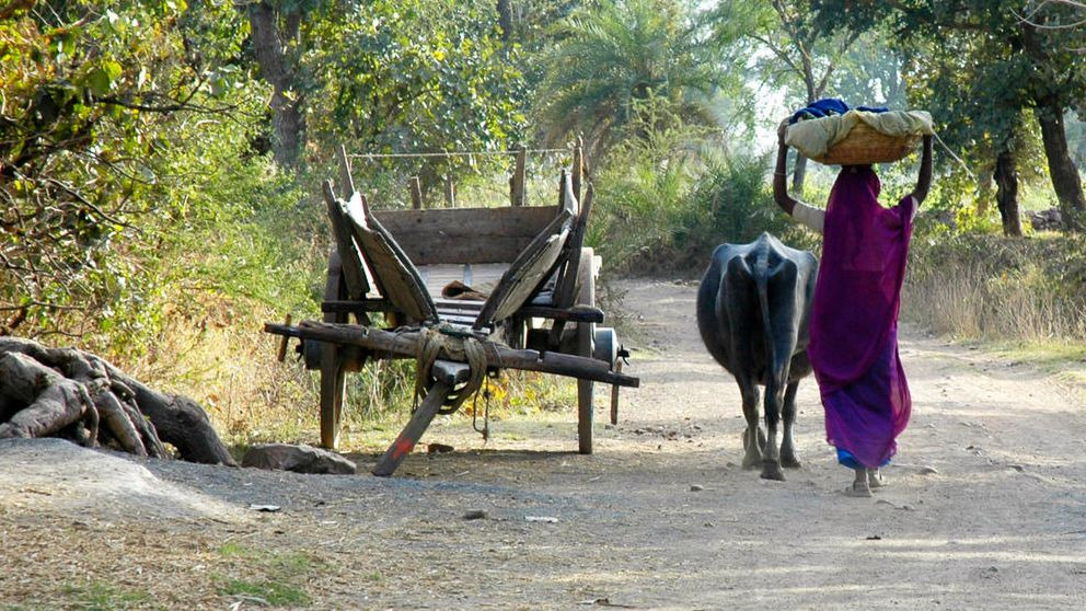 ¿Quiénes son los intocables en la India?